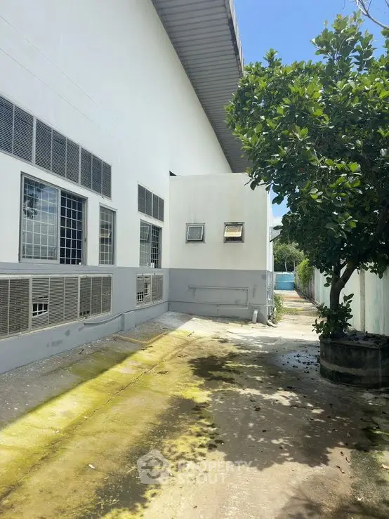 Spacious exterior view of modern building with lush greenery and ample natural light.