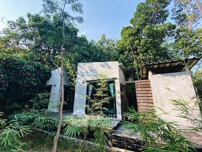 Charming modern house surrounded by lush greenery and natural beauty, perfect for serene living.