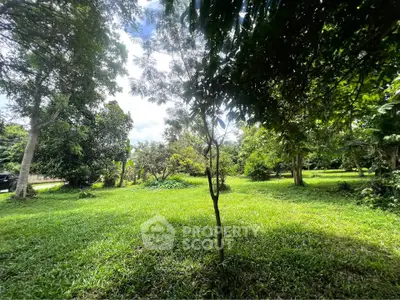 Lush green garden with mature trees and open grassy area, perfect for landscaping or outdoor activities.