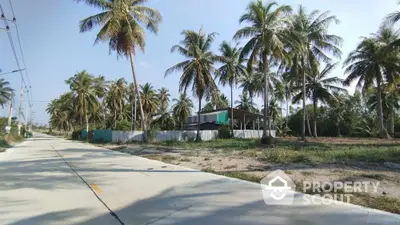 Tropical roadside property with lush palm trees and clear blue sky