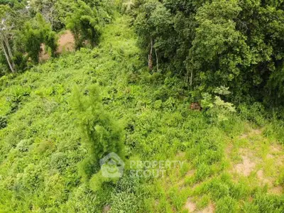 Lush green land plot surrounded by dense trees, ideal for development or agriculture.