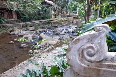Charming riverside property with lush greenery and rustic architecture, perfect for nature lovers.