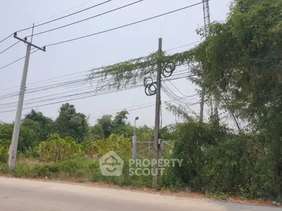 Scenic roadside view with lush greenery and power lines, ideal for real estate development.