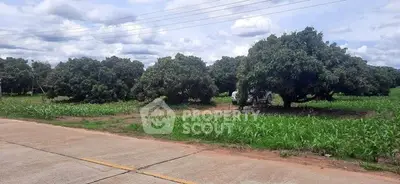 image_rental-29522141