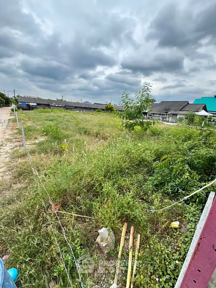 Expansive vacant land with lush greenery, perfect for development opportunities under a cloudy sky.