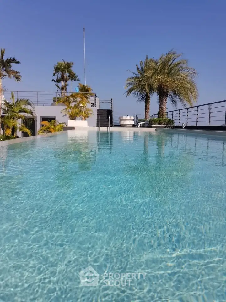 Luxurious rooftop pool with palm trees and clear blue sky view.