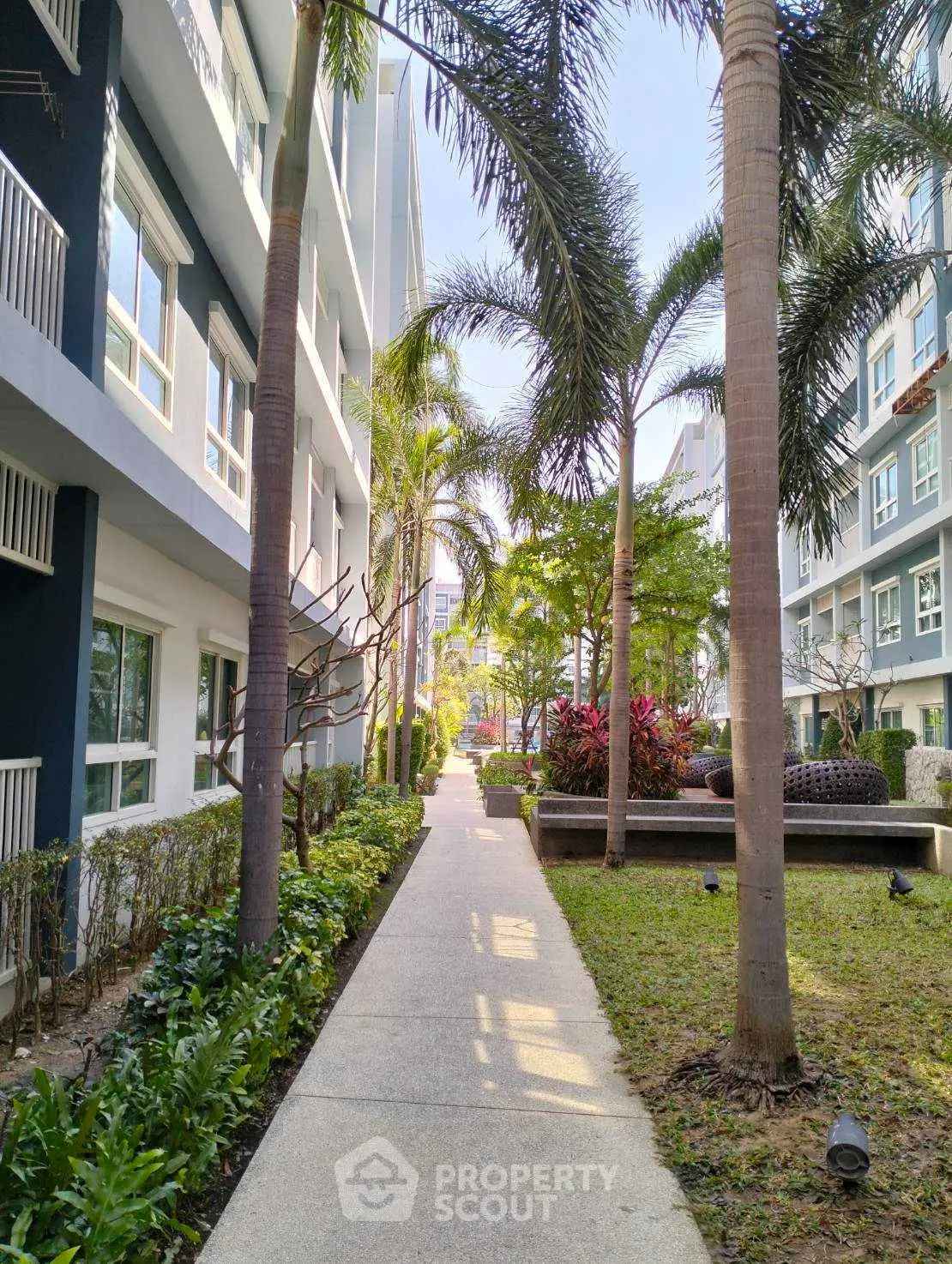 Beautiful garden pathway in modern apartment complex with lush greenery and palm trees.
