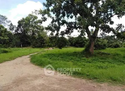Expansive green land with mature trees and a winding path, perfect for development or leisure.