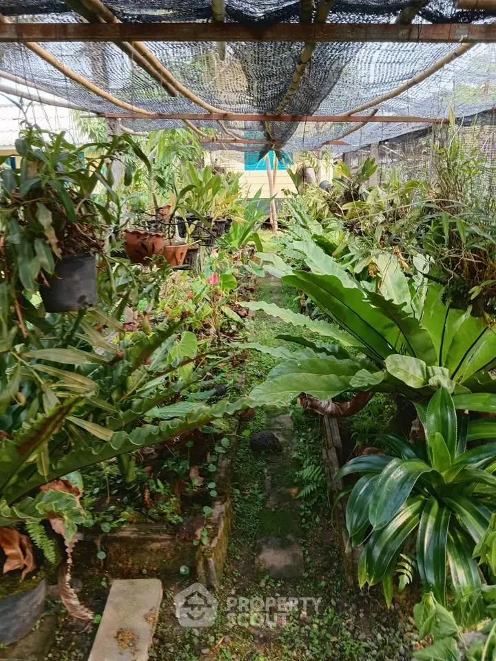 Lush garden oasis with diverse tropical plants and serene pathway
