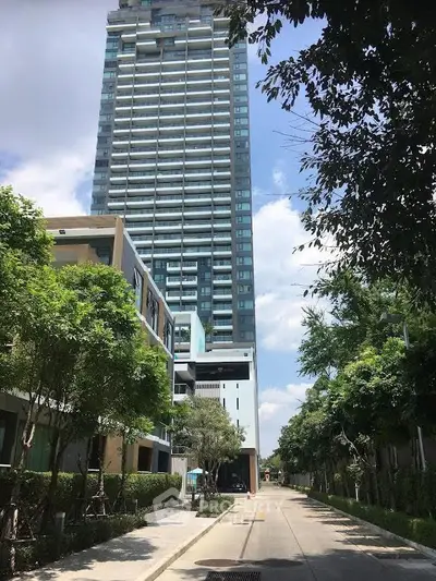 image_rental-30397643