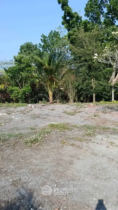 Spacious vacant land surrounded by lush greenery, perfect for development or investment opportunities.