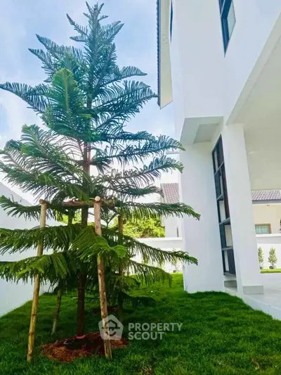 Modern white house exterior with lush green lawn and young tree, showcasing contemporary architecture.
