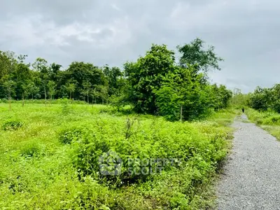 image_rental-29763756