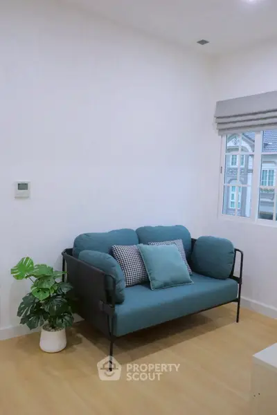 Cozy living room with modern blue sofa and potted plant, bright window view.