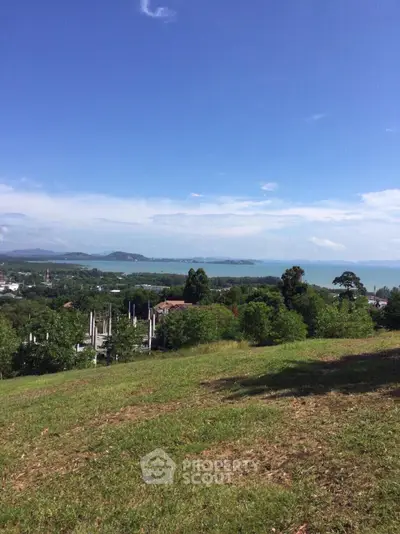 Stunning panoramic view of lush greenery and ocean, perfect for serene living.