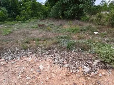 Spacious plot of land with lush greenery, ideal for development or investment opportunities.