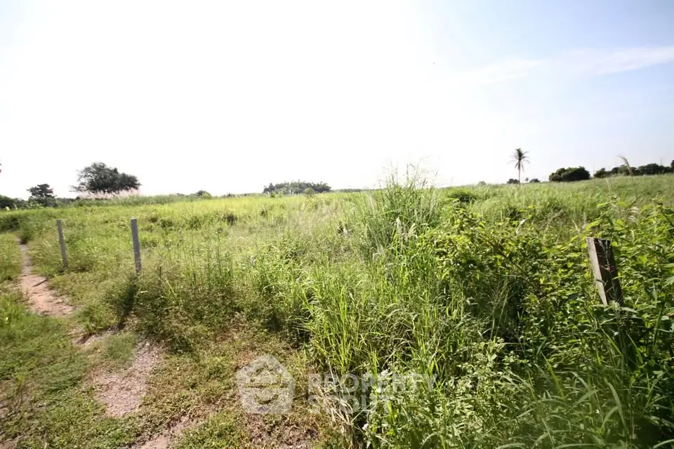 Expansive green land plot with lush vegetation, perfect for development opportunities.