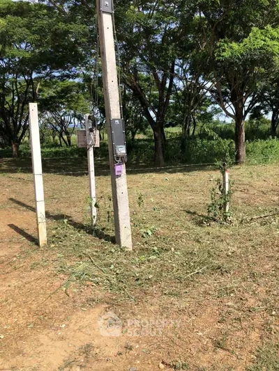 Spacious land plot with utility poles surrounded by lush greenery and trees, ideal for development.