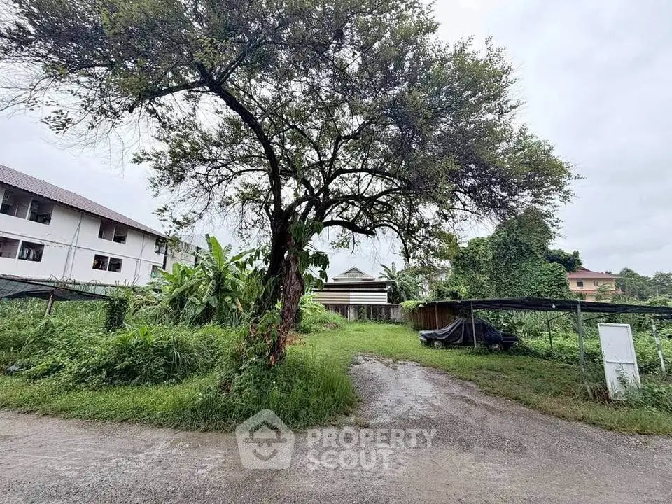 Charming rural property with lush greenery and spacious outdoor area, perfect for nature lovers.