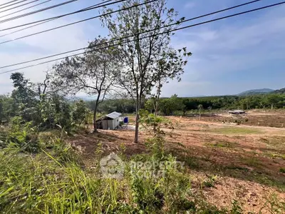 image_rental-30043797