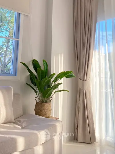 Bright living room corner with cozy sofa and lush plant by sunlit window.