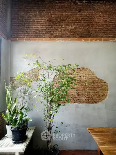 Charming rustic interior with exposed brick wall and lush indoor plants.