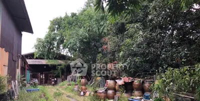 image_rental-31429768