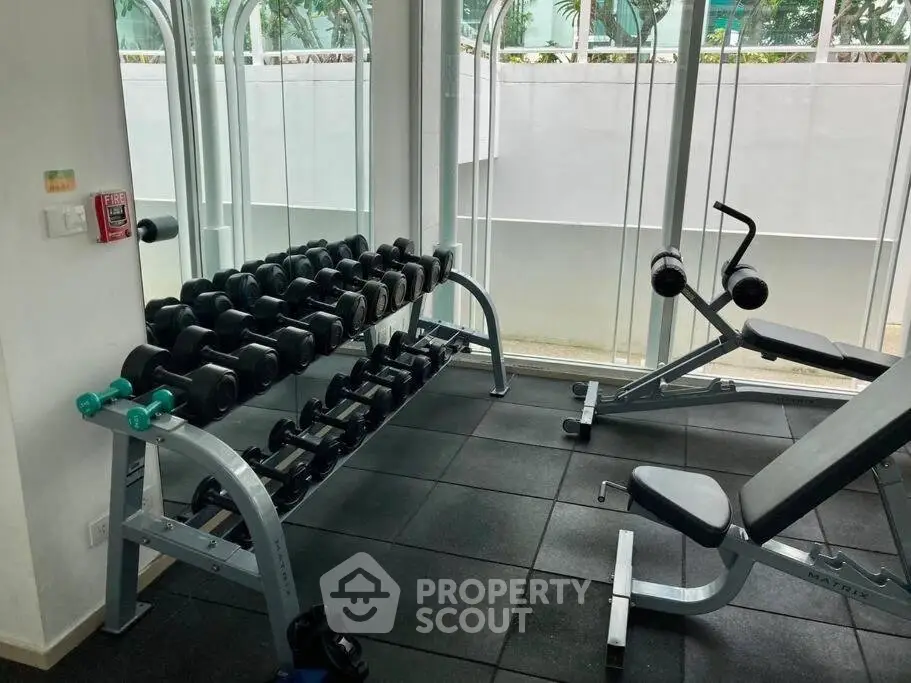 Modern gym with weights and exercise equipment in a well-lit space.