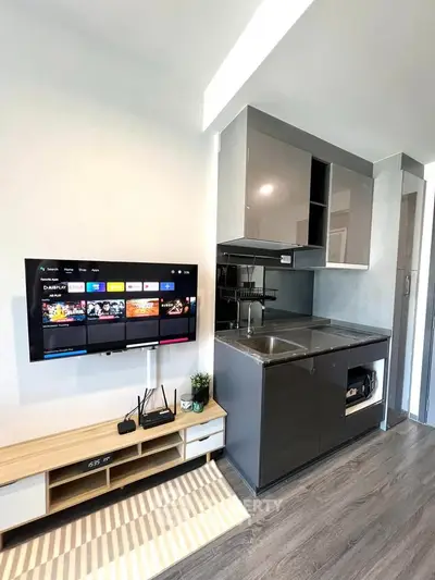 Modern compact kitchen with sleek cabinetry and wall-mounted TV in stylish apartment.
