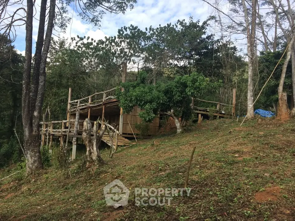 Rustic hillside cabin surrounded by lush greenery and trees, offering a serene natural retreat.