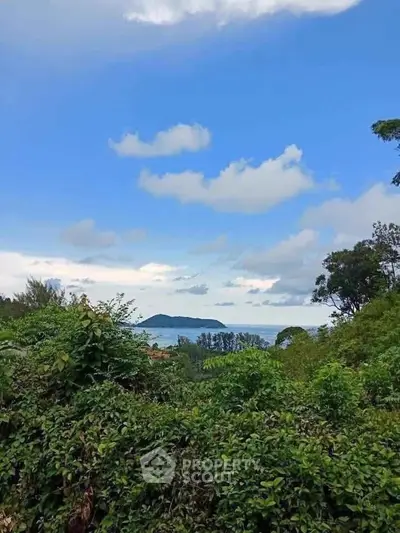 Stunning ocean view from lush green landscape, perfect for serene living.
