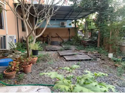 Charming garden area with potential for landscaping, featuring potted plants and shaded patio.