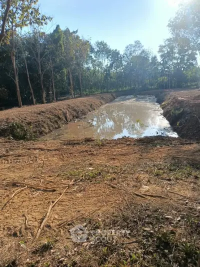 Expansive land with potential for development, featuring a natural pond and lush surrounding greenery.