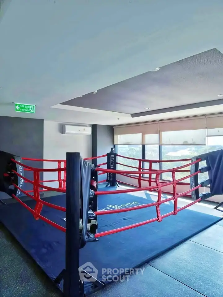 Modern gym with boxing ring and large windows offering natural light