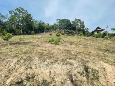 Expansive land plot with lush greenery and a distant view of a traditional house, perfect for development.