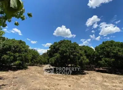 image_rental-31521399