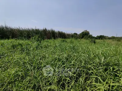image_rental-19453954