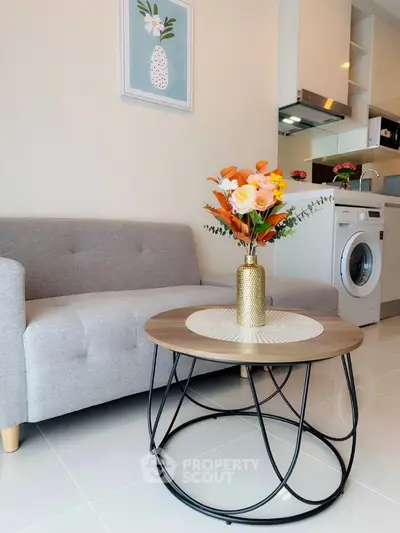 Modern living room with stylish decor and compact kitchen featuring washing machine