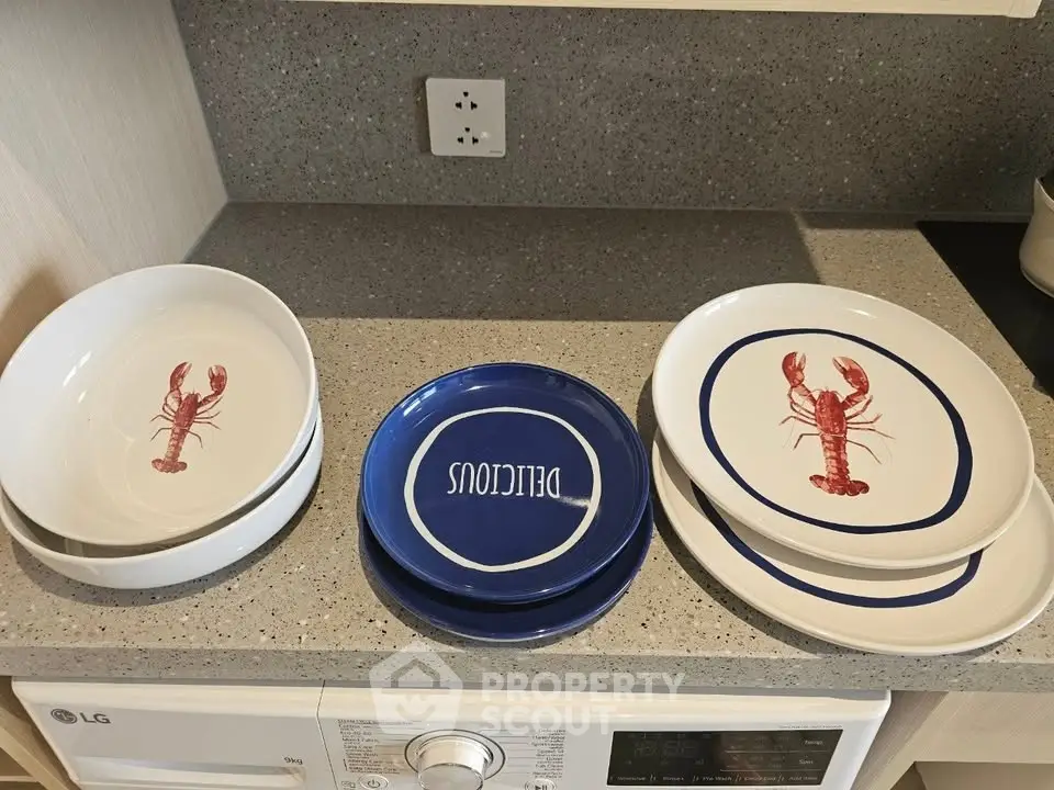 Modern kitchen with stylish lobster-themed plates on a sleek countertop above an LG washing machine.