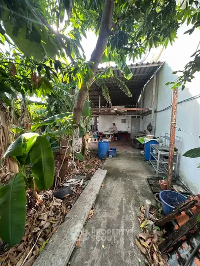 Charming garden area with lush greenery and rustic outdoor space, perfect for relaxation and gardening.