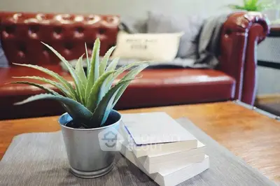 Stylish living room with leather sofa and modern decor, perfect for relaxation and reading.