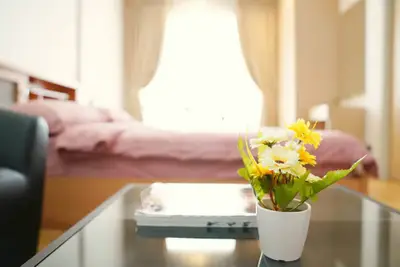 Cozy bedroom with stylish decor and natural light, featuring a comfortable bed and elegant furnishings.