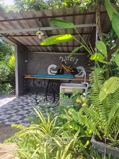 Charming garden nook with surfboard decor and lush greenery, perfect for relaxation.