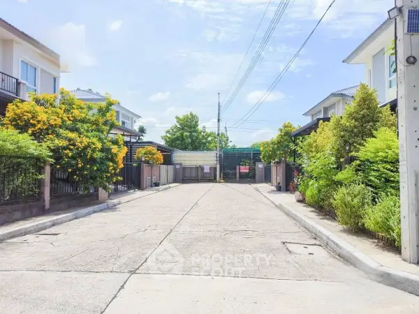 image_rental-23307761