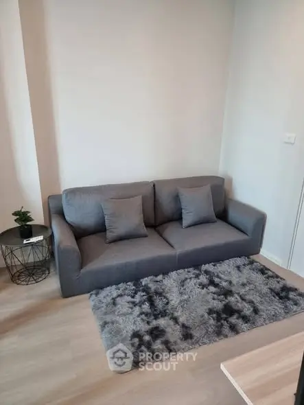 Modern living room with stylish gray sofa and plush rug in a cozy apartment setting.