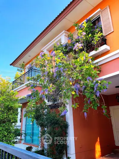 image_rental-27072773