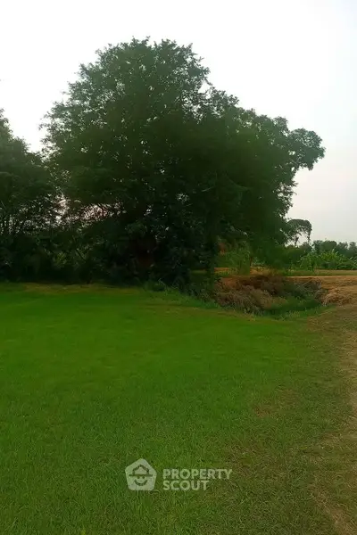 Lush green garden with mature trees and open grassy area, perfect for outdoor activities.