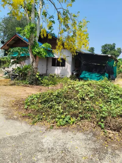 Charming rustic house surrounded by lush greenery, perfect for nature lovers seeking tranquility.