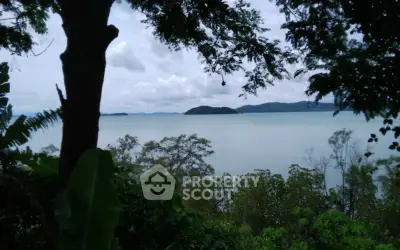 image_rental-29036751