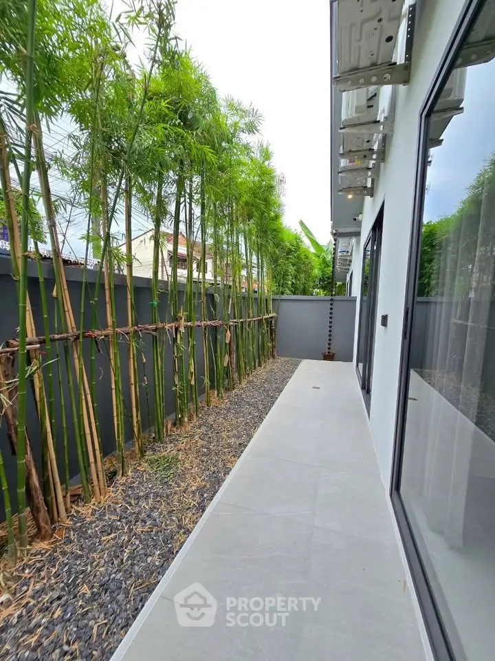 Modern narrow garden walkway with bamboo plants and sleek design